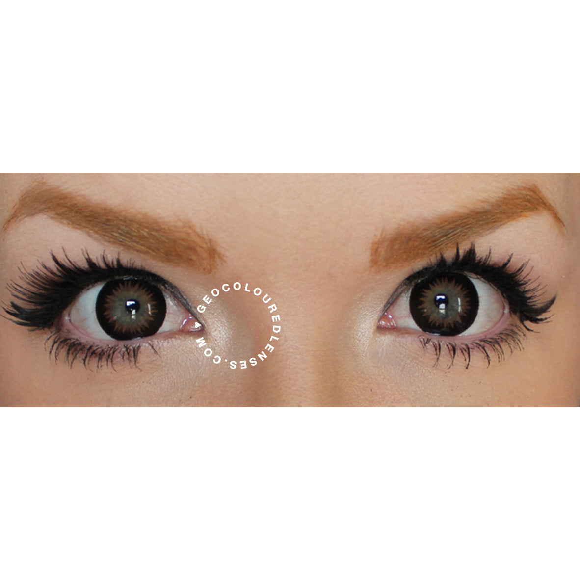 Geo Bella Brown BS-204