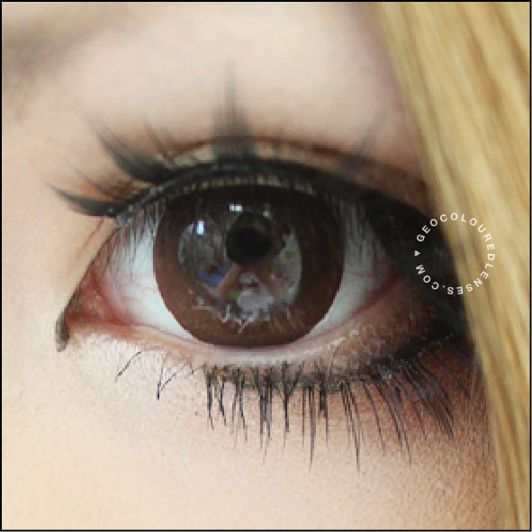 Geo Cafe Mimi Cappuccino Brown WMM-600