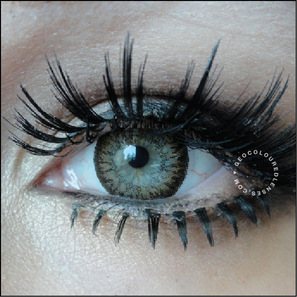 Geo Fresh Color Brown FC-724