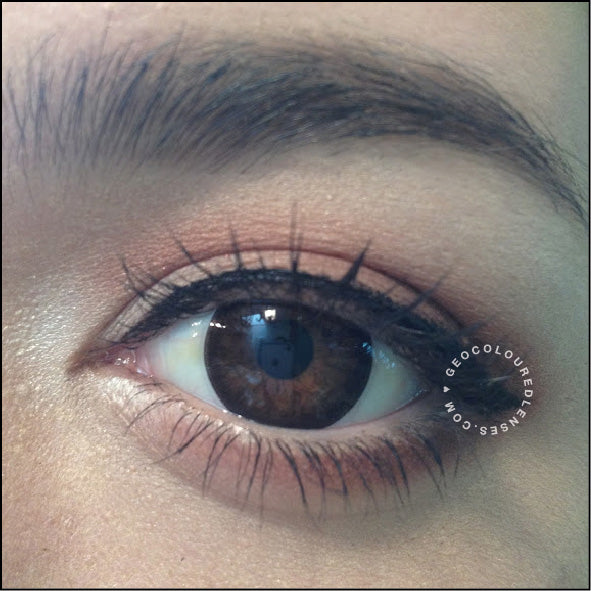 Geo Big Grang Grang Choco WHC-246