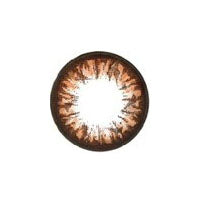 Geo Big Grang Grang Choco WHC-246