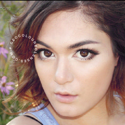 Geo Big Grang Grang Choco WHC-246