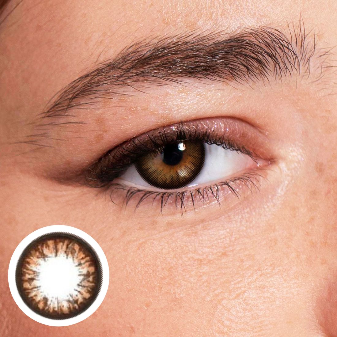 Geo Big Grang Grang Choco WHC-246