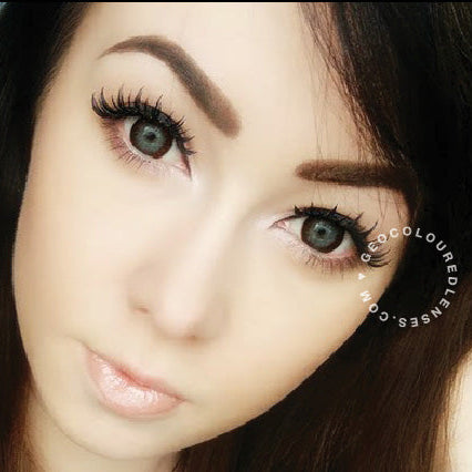 Geo Holicat Lovely Choco XHC-507