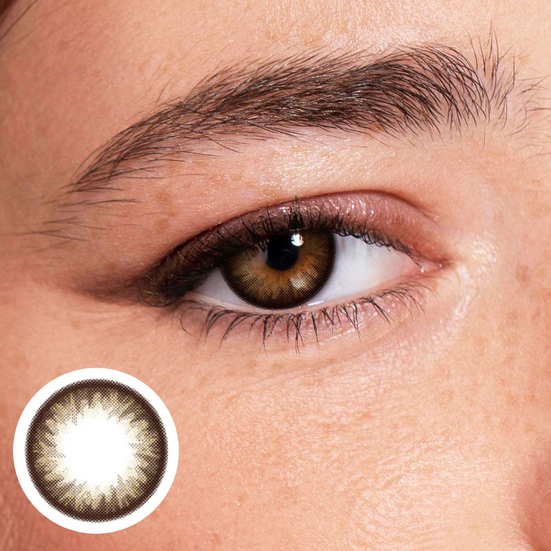 Geo Holicat Lovely Choco XHC-507