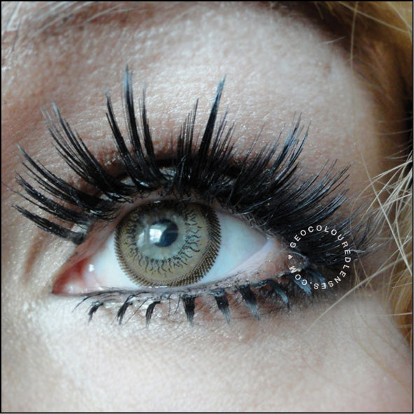 Geo Olive Brown OL-104