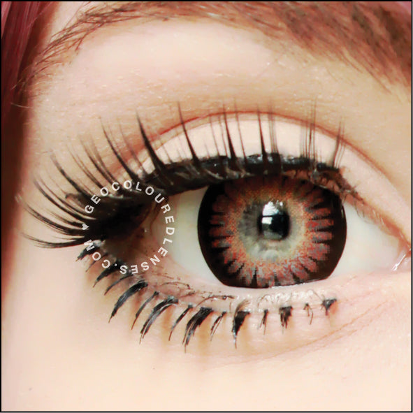 Geo Princess Mimi Chocolate Brown WMM-304