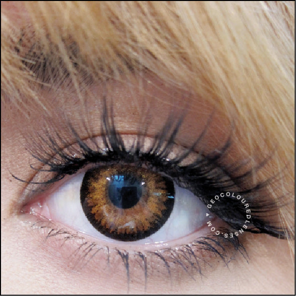 Geo Starmish Brown XKP-304