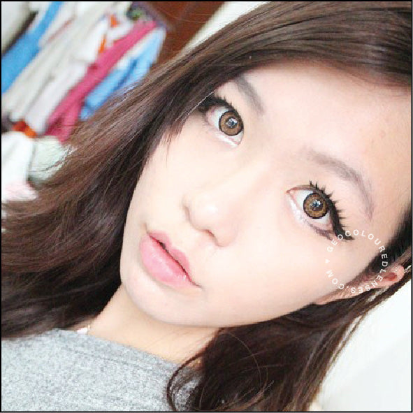 Geo Starmish Brown XKP-304