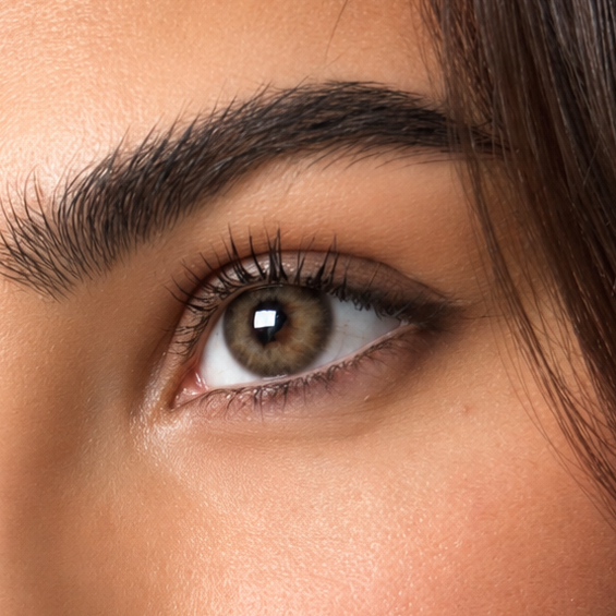 Just Be Dazzling Brown honey brown coloured contacts shown on dark brown eyes